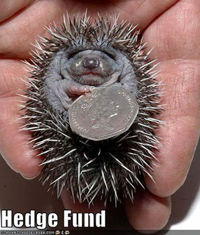 Hedgehogs and their hoglets need our help and we need donations to do that