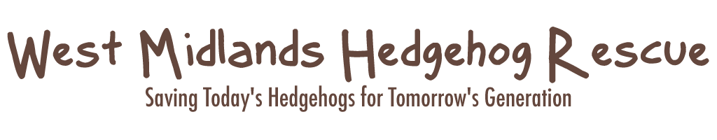 Helping the conservation of native hedgehogs in West Midlands and Staffordshire
