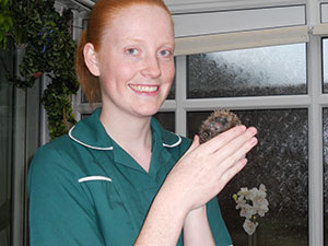 Helping native hedgehogs across West Midlands and Staffordshire